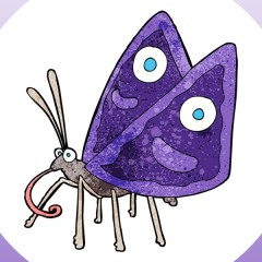 ¿Para qué le sirve la trompa a la mariposa?