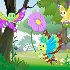 ¿Cuándo duermen las mariposas?
