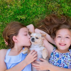 7 Beneficios de crecer con mascotas cuando somos pequeños