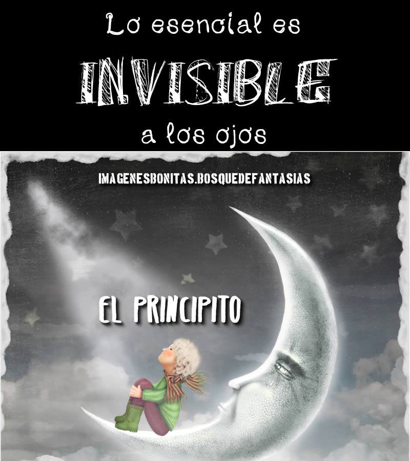 El Principito: Enseñanzas.Frases célebres.Autor. Datos. Leer libro online.