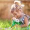 9 películas con las que los niños amarán a los animales