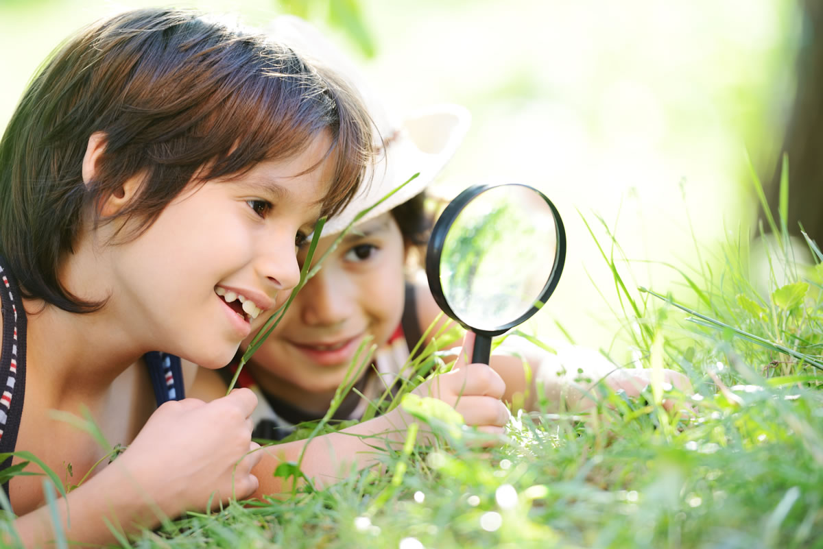 Importancia De La Exploracion Del Medio En Los Niños