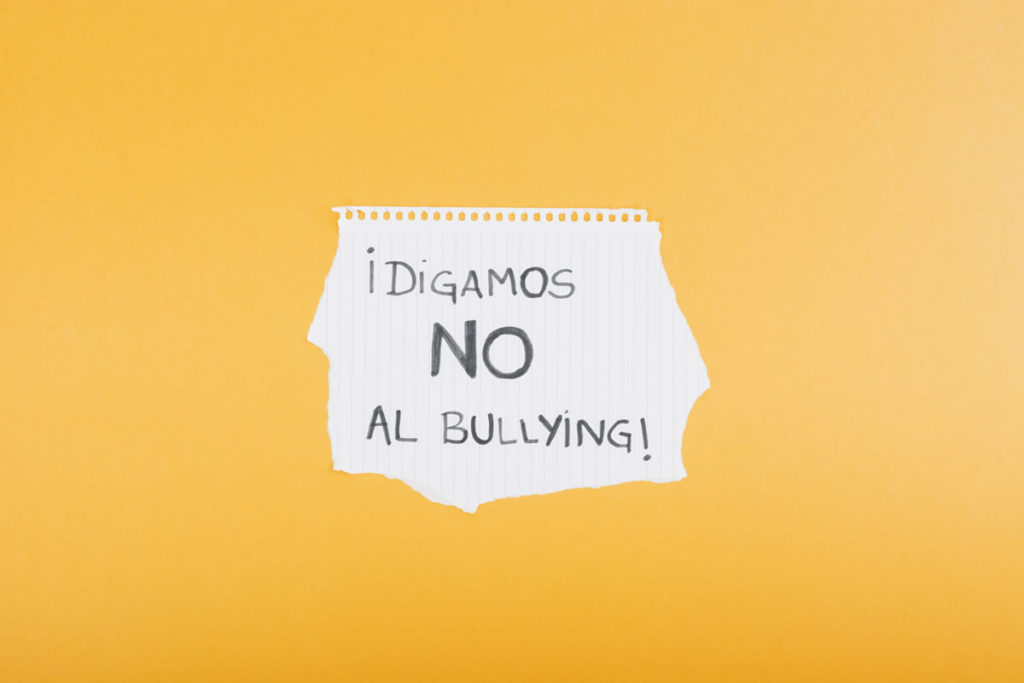 di-no-al-bullying