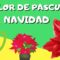 Manualidad de Flor de Pascua navideña