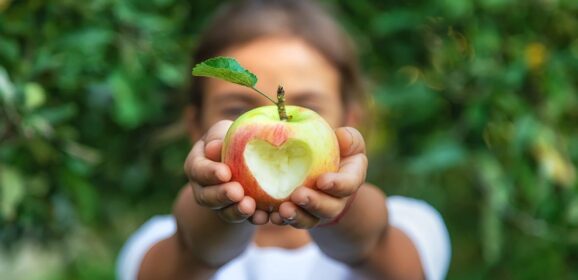 La necesidad de la fibra en la alimentación infantil