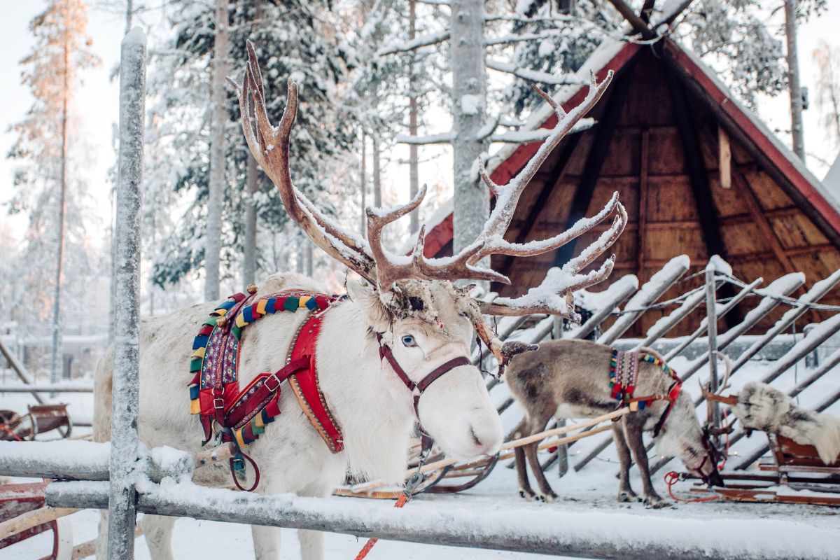 Conoce a Papá Noel en su casa de Laponia estas navidades