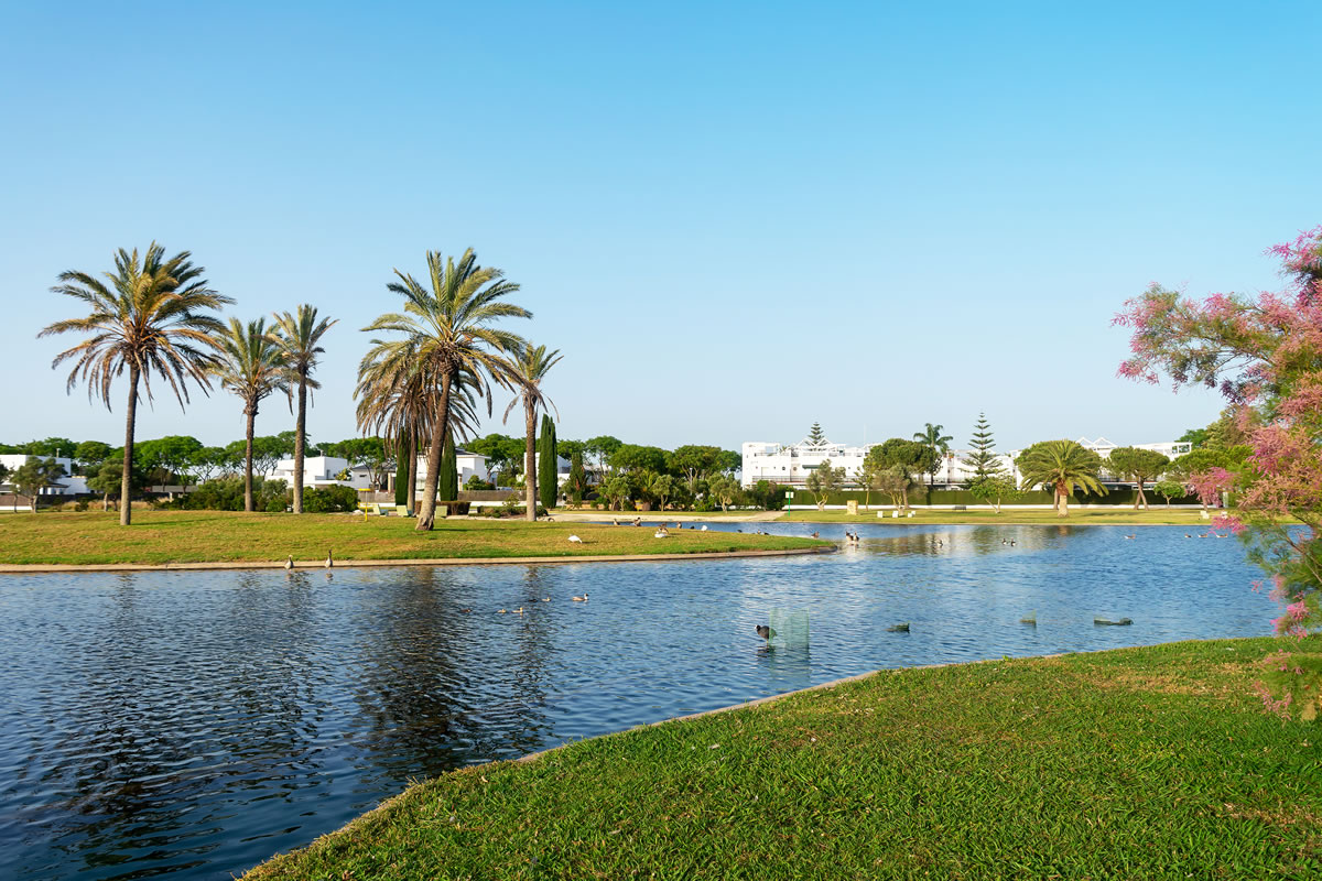 costa ballena