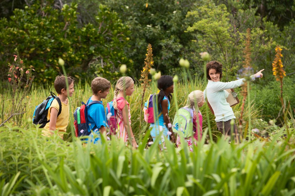 importancia enseñar naturaleza en infantil